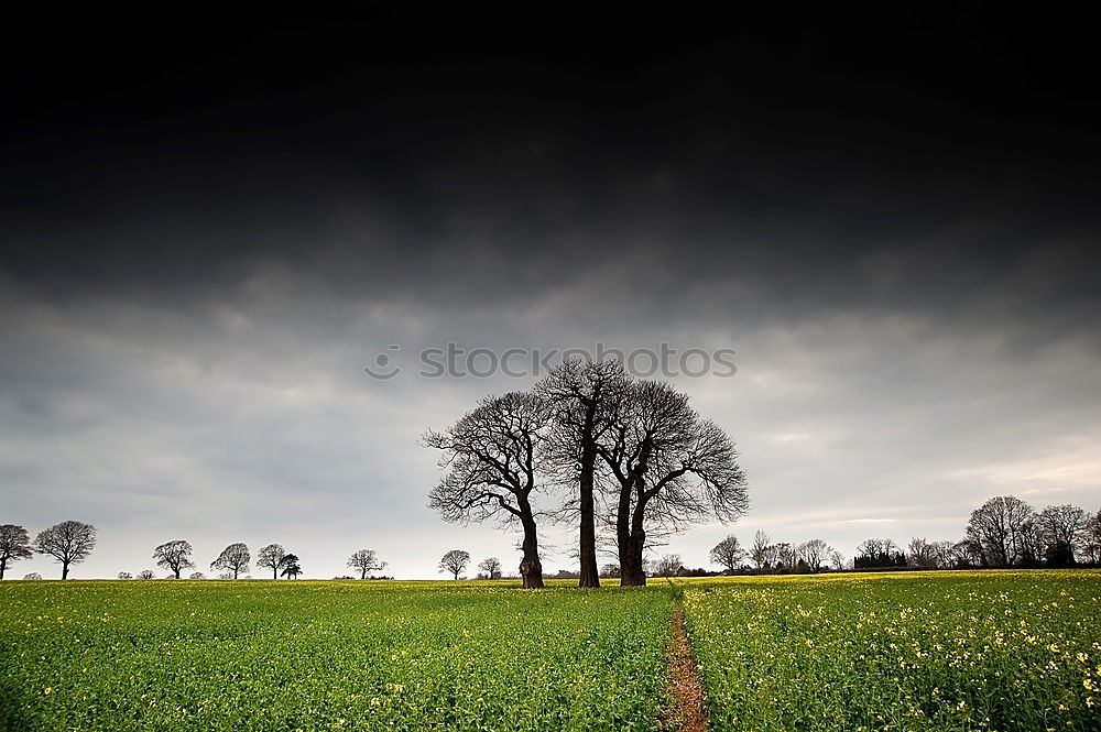 Similar – wisps of fog Environment