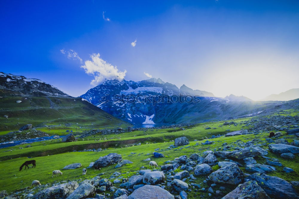 Similar – Image, Stock Photo Beautiful Lake in New Zealand