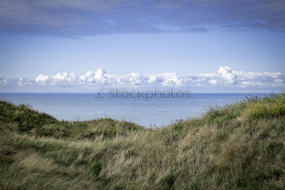 Similar – Image, Stock Photo LEUCHTTURM FROM Blåvandshuk