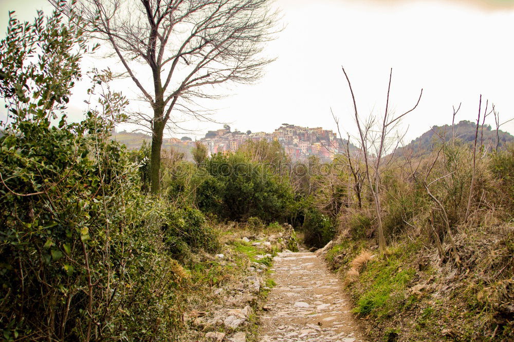 Spanish paths. Environment