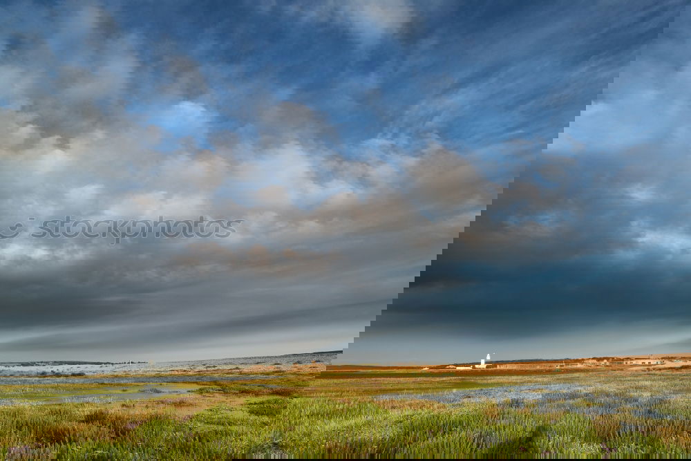 Similar – Image, Stock Photo On the Homer Spit Life