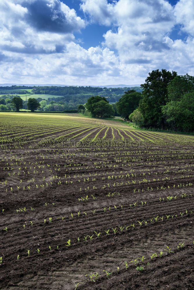 Similar – Foto Bild Kälte hängt über dem Land