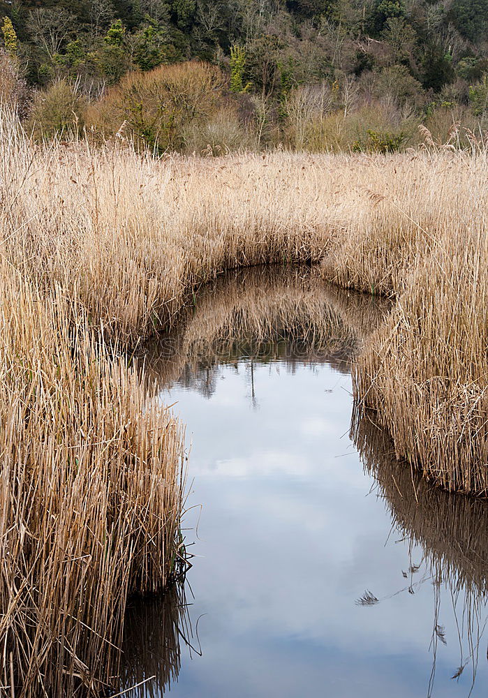 der große farbtopf Umwelt