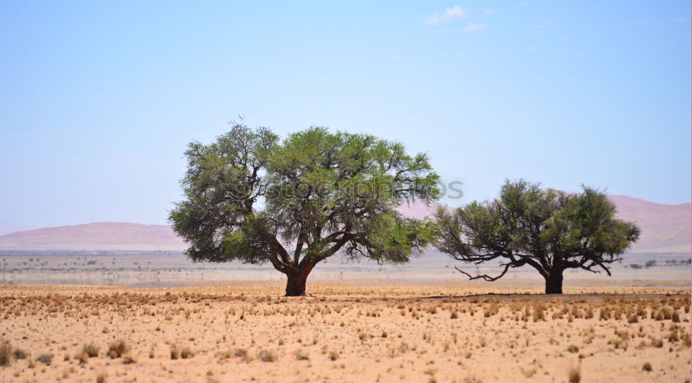 Similar – Tsondab Valley