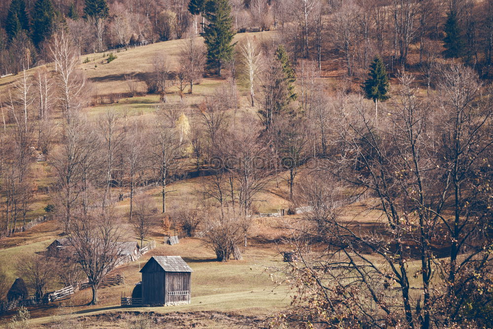 Image, Stock Photo Small house in forest