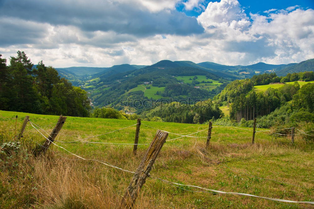 Similar – Image, Stock Photo Vine Panorama in the Ortenau near Oberkirch, Black Forest