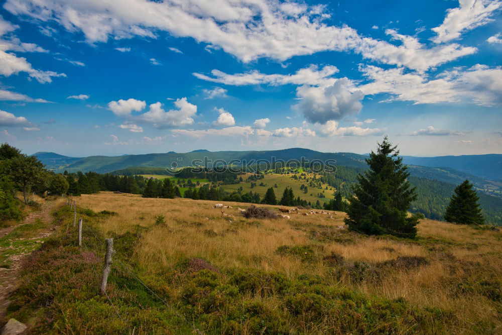 Similar – Image, Stock Photo Vine Panorama in the Ortenau near Oberkirch, Black Forest