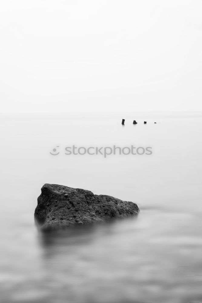 Similar – Image, Stock Photo Mussel on the beach Beach