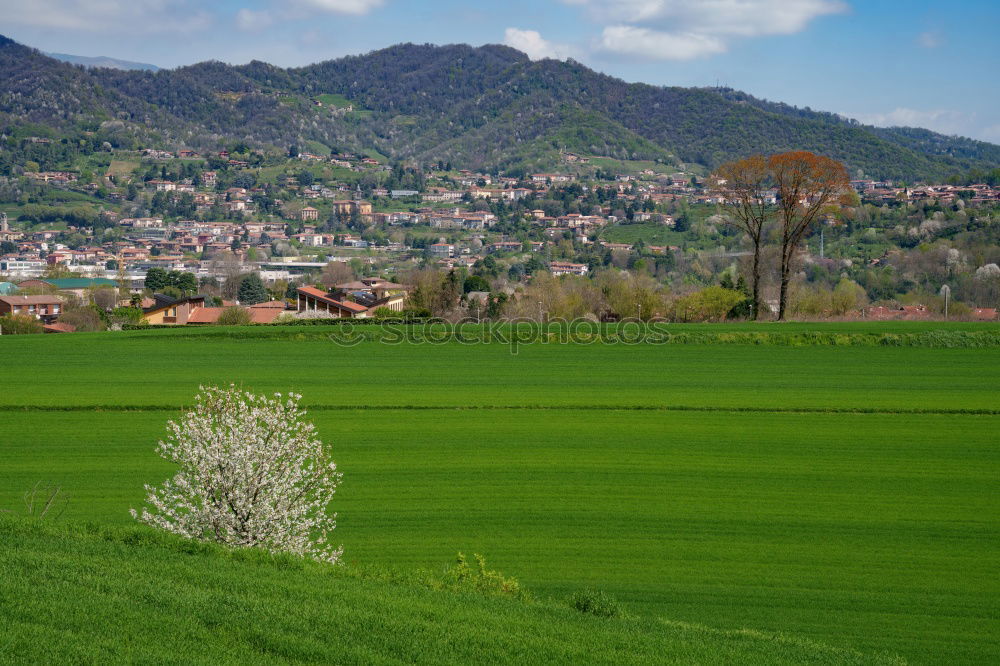 Similar – Hügellandschaft (Auenland)