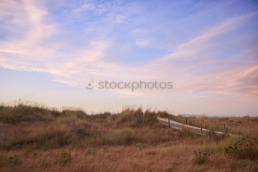 House in the dunes Beach