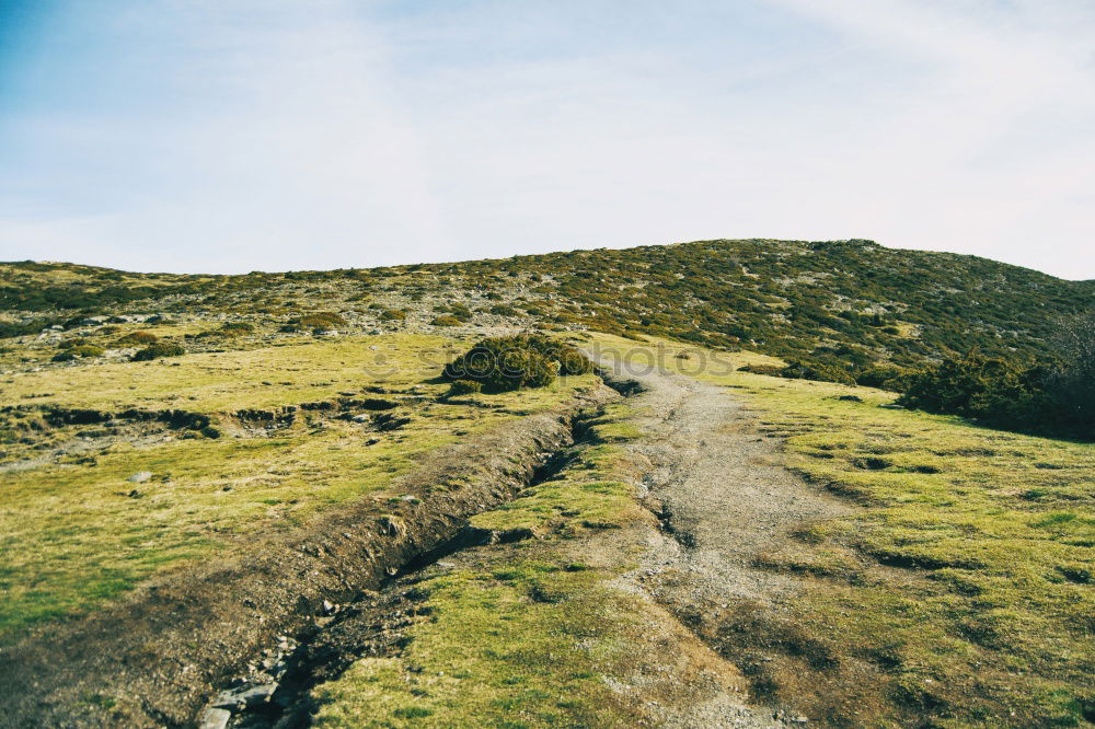 Similar – Rondane National Park II