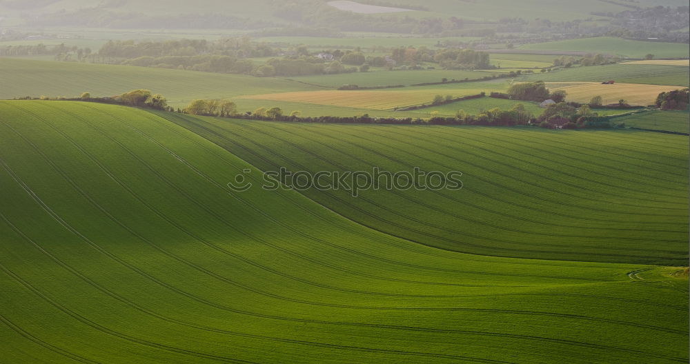 Similar – rapeseed patches