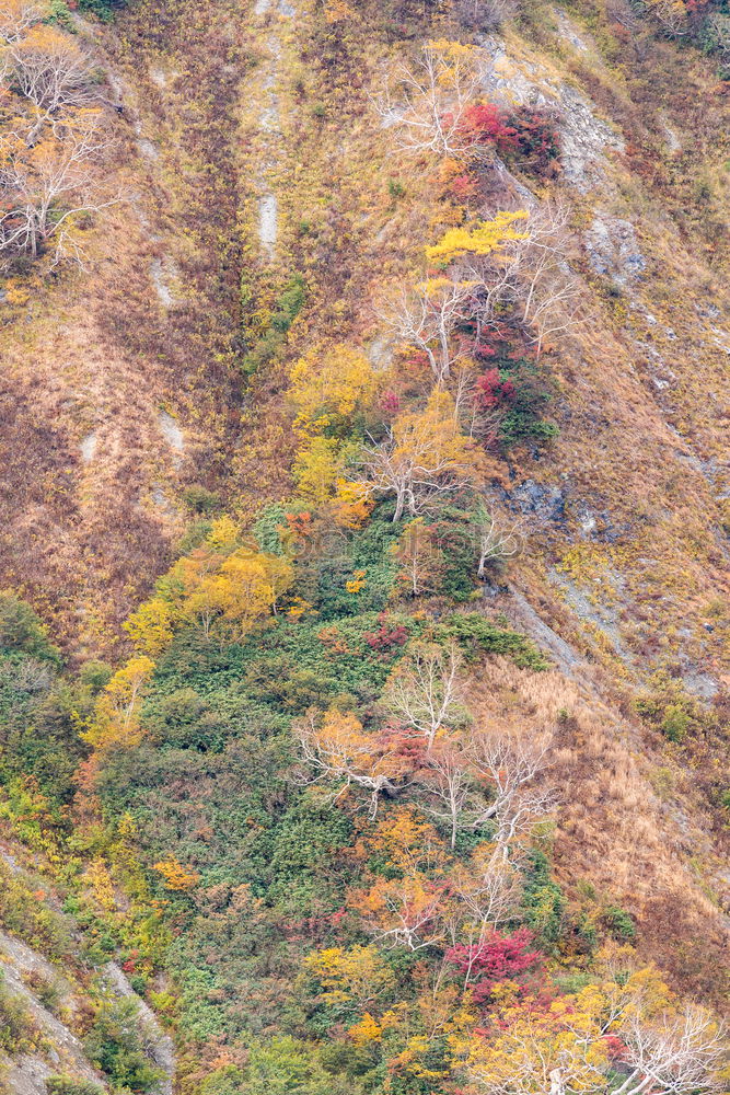 Similar – Image, Stock Photo Hilly landscape in Wales