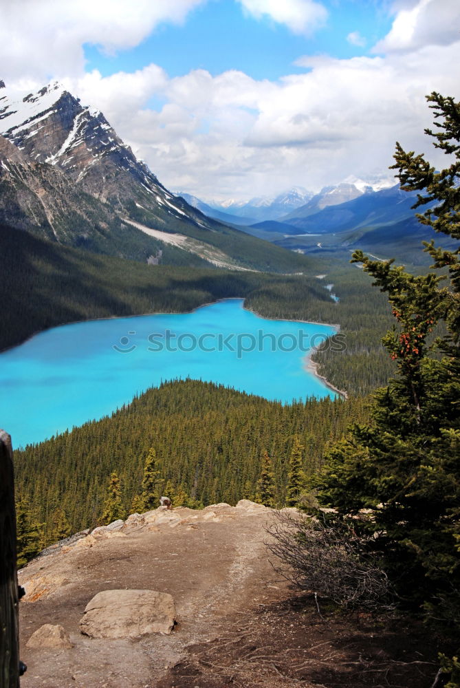Similar – Image, Stock Photo amazement