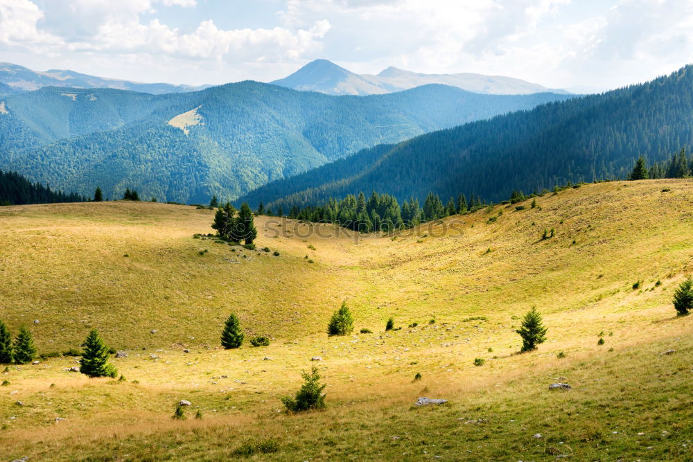 Similar – Green sunny valley in mountains and hills