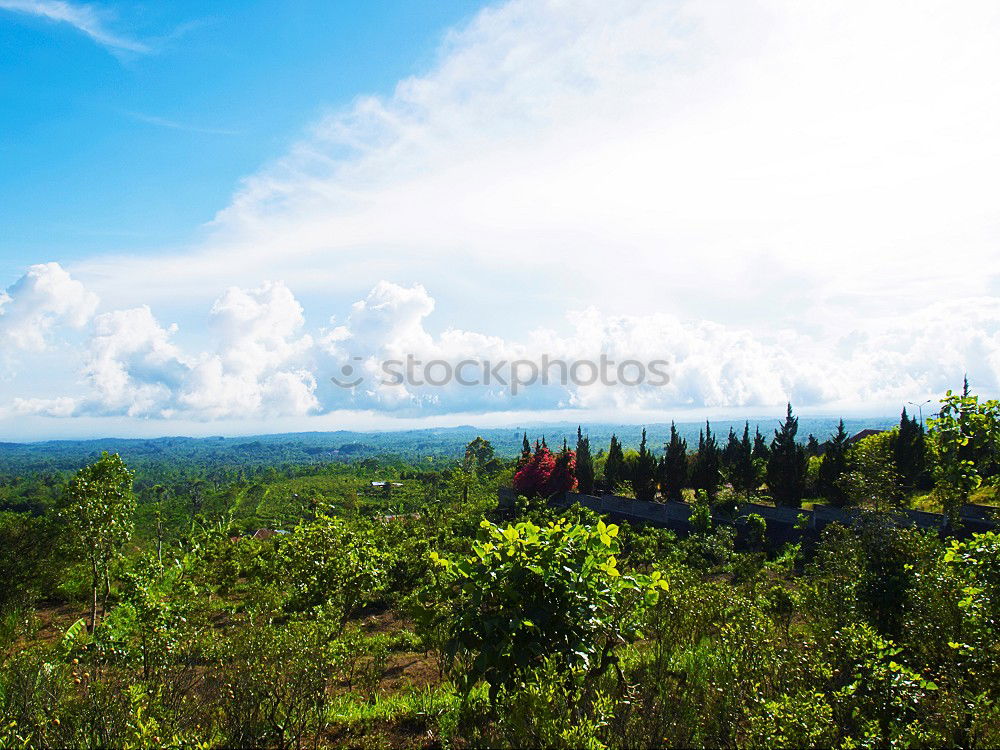 Similar – Tropical landscape in the morning