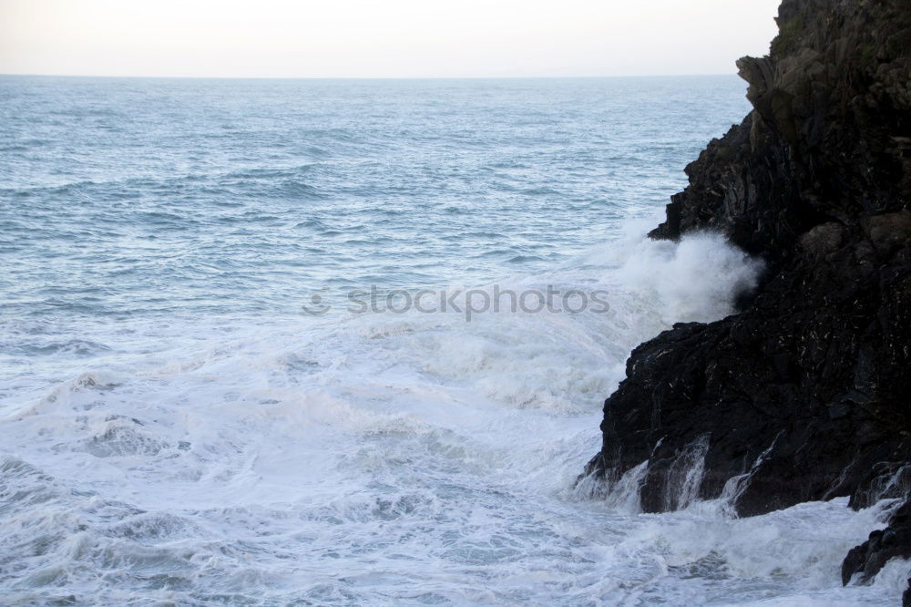 Similar – Image, Stock Photo Bock on shore leave