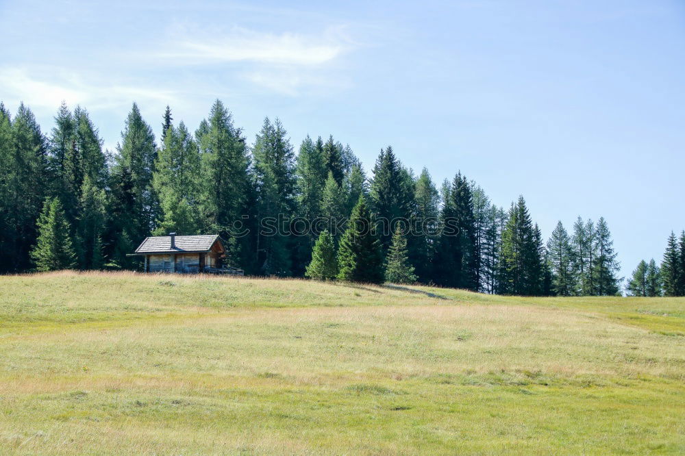 Similar – Foto Bild Holzstapel mit Waldstück und Wiese im Schwarzwald