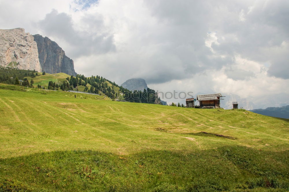 Similar – Sheep pasture | Timmelsjoch, South Tyrol