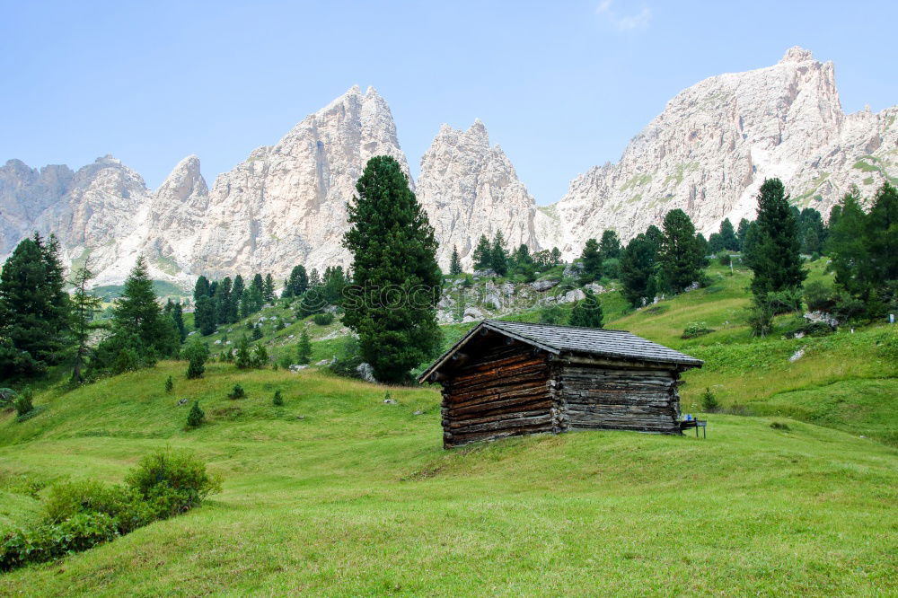 Similar – Image, Stock Photo hiking holiday Environment