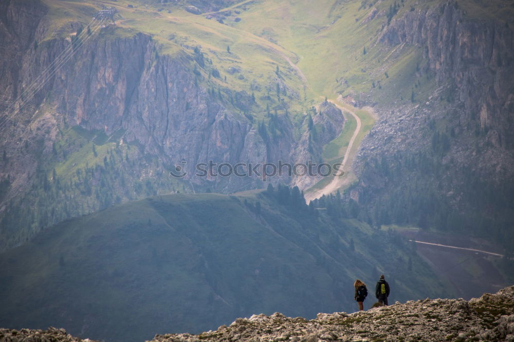 Image, Stock Photo Bighorn Sheep Beautiful