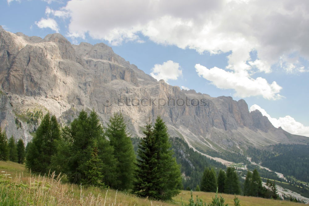 Similar – Image, Stock Photo Italy (3) Europe