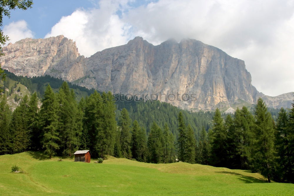 Similar – Cow in front of hut with view in the Dolomites