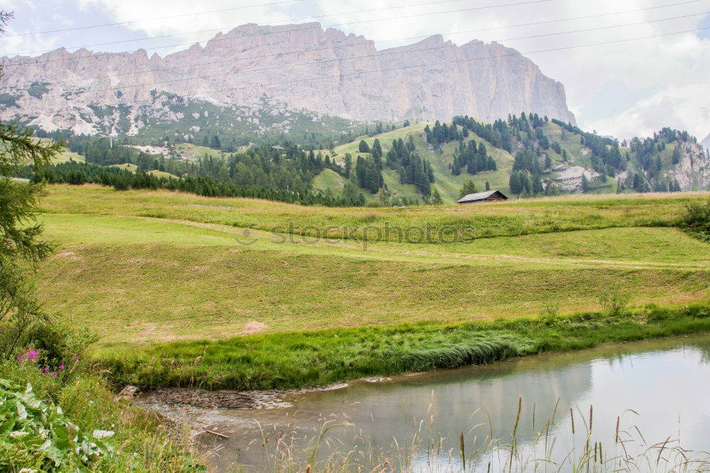 Similar – happy lovers on Holiday in the alps mountains