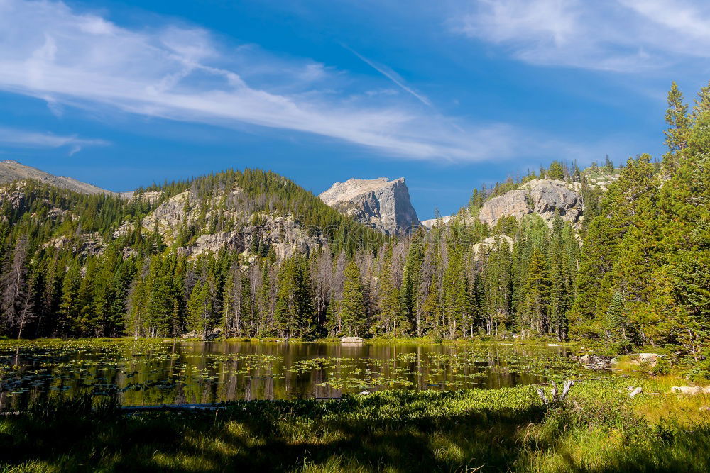 Similar – Foto Bild Yosemite II See Baum grün