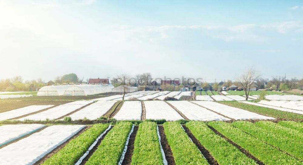 Similar – Image, Stock Photo agriculture