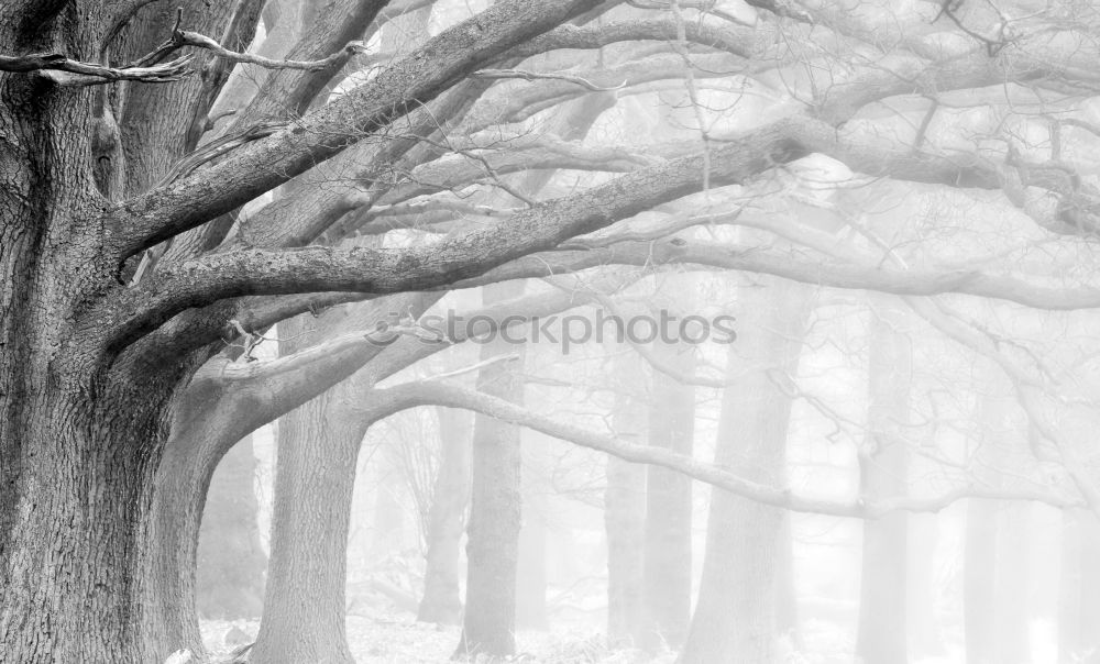 Similar – Image, Stock Photo Bigger than us Environment