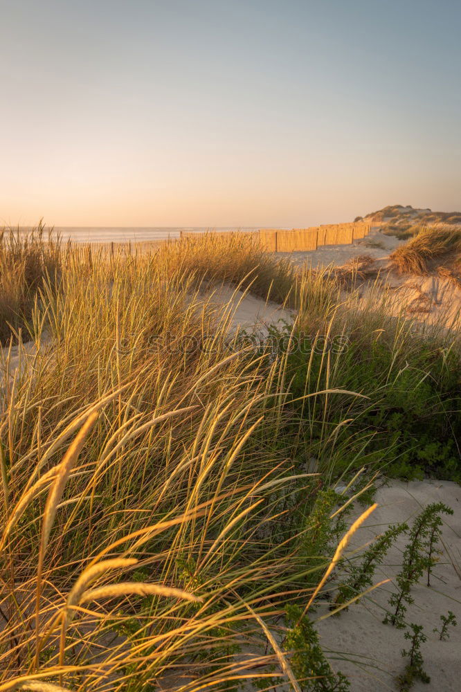 Heiligendamm Nature