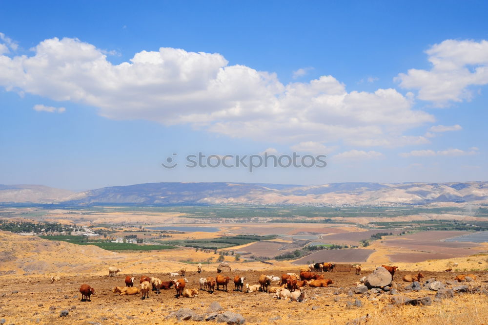 Similar – Image, Stock Photo africa field and constructions