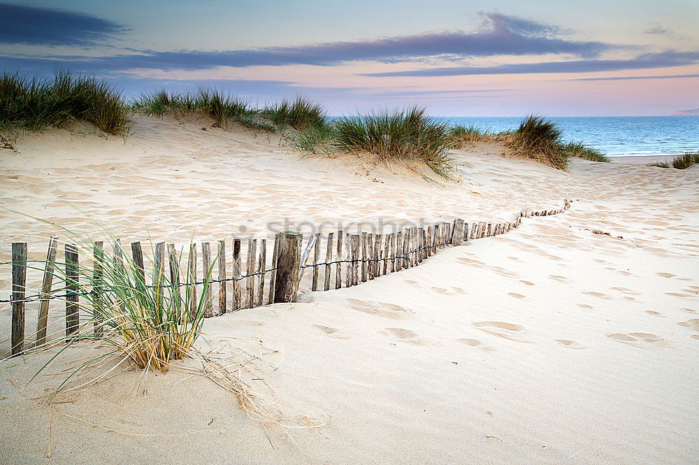 Similar – Boat in dune grass