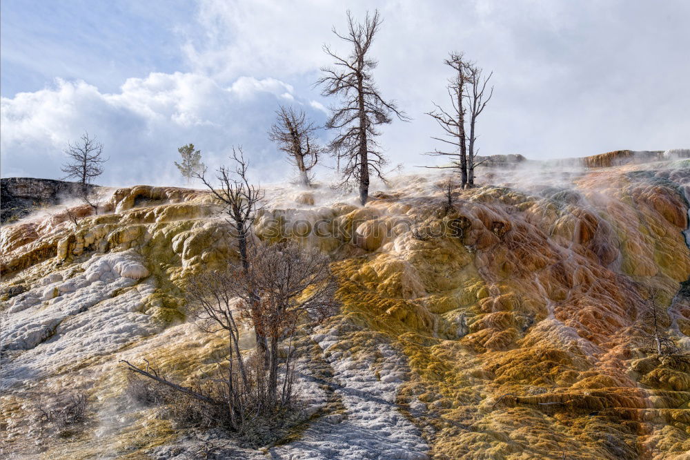 Similar – Foto Bild Feuerland Natur Landschaft