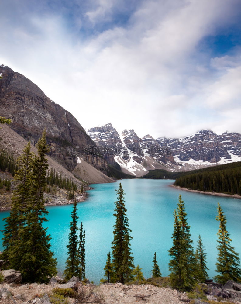 Similar – Moraine Lake, Canada Tree