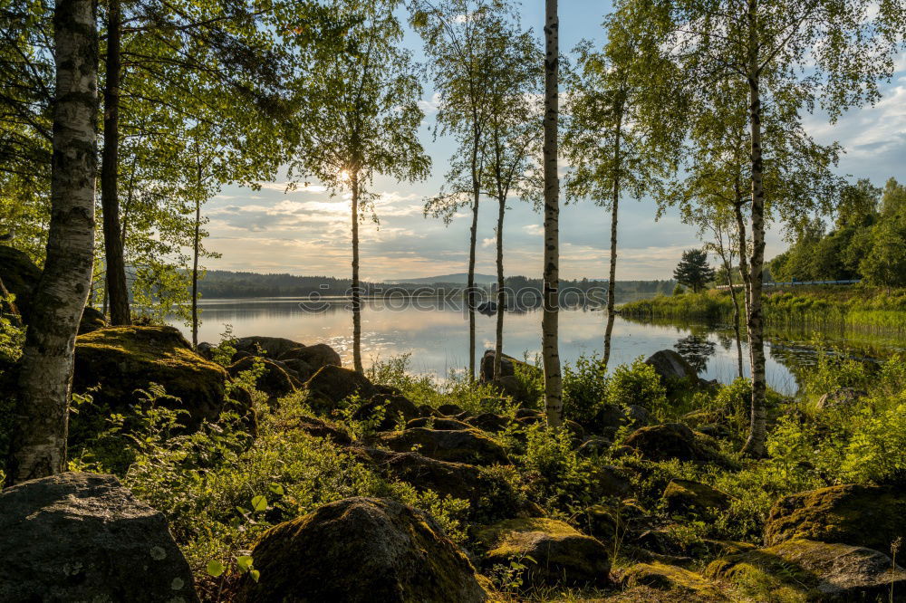 Similar – Morning mood at the lake