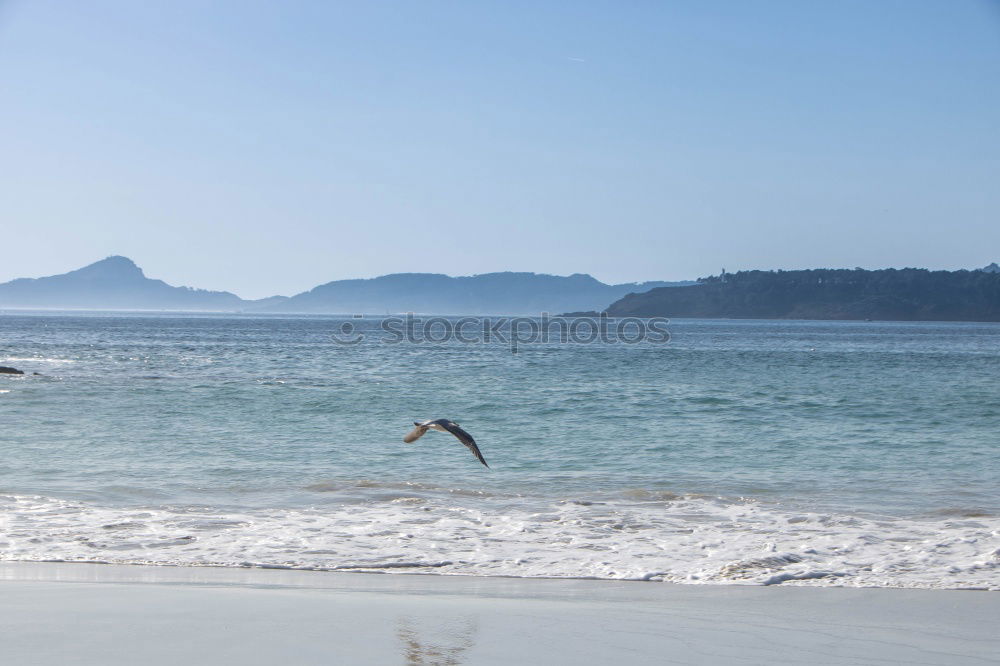 Similar – Foto Bild Jabaquara Beach Brasilien