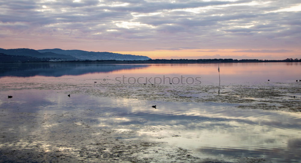 Similar – traunsee Twilight