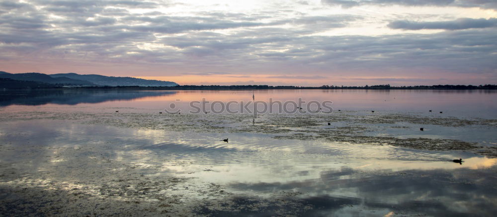 Similar – traunsee Twilight