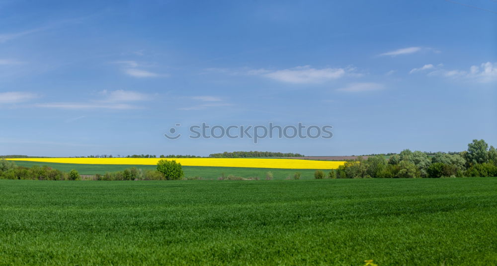 Similar – Image, Stock Photo summer landscape