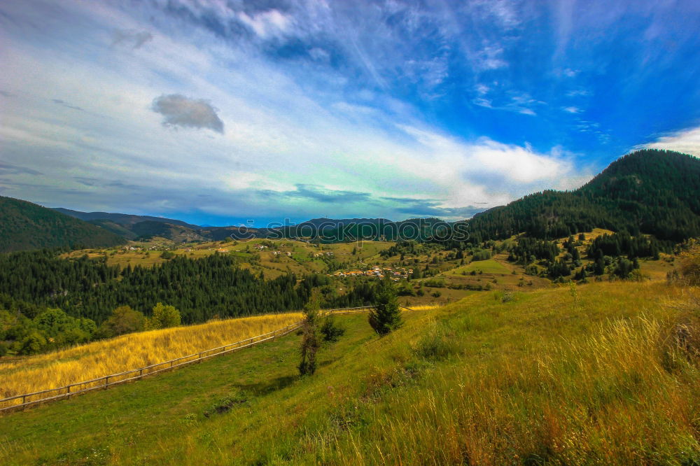 Similar – Image, Stock Photo Road in fall season woodland with clouds and blue sky