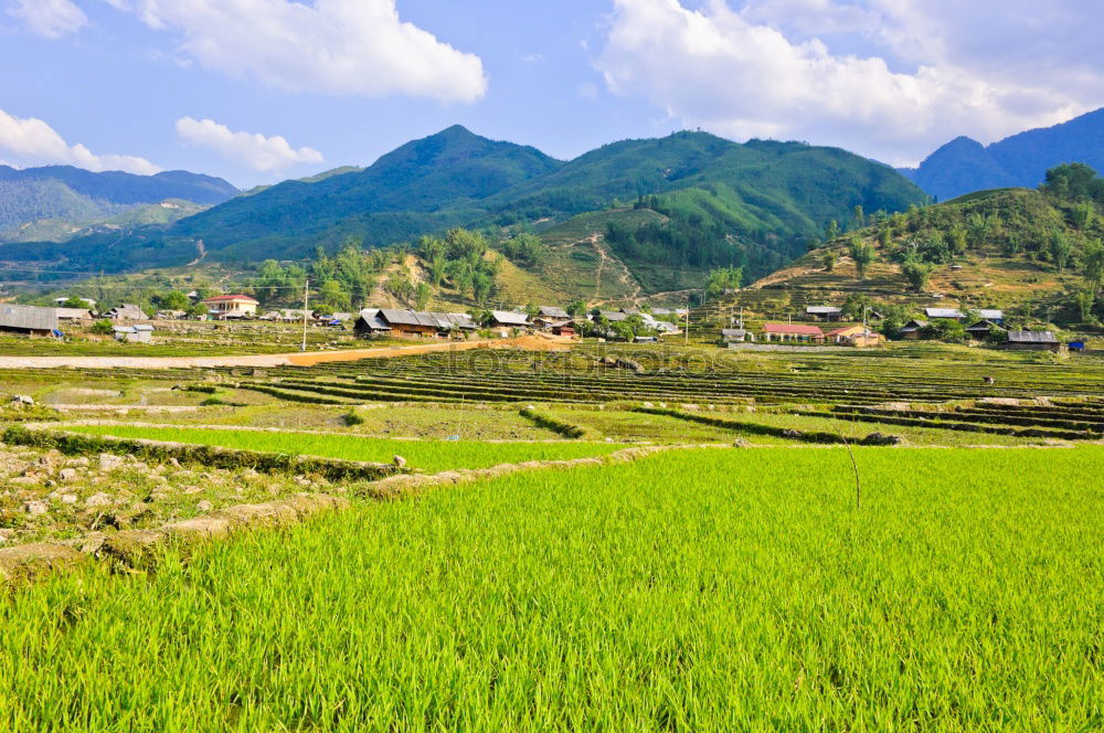 Similar – Foto Bild Landschaft der Rapsfelder und Berge im Frühjahr