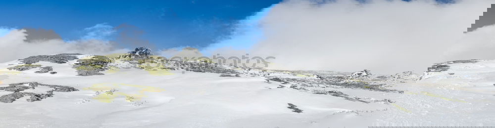 Similar – Foto Bild Schneefell Winter Halm