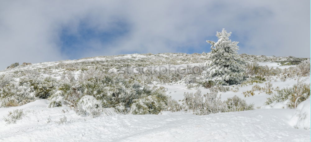 Similar – fake Nature Landscape