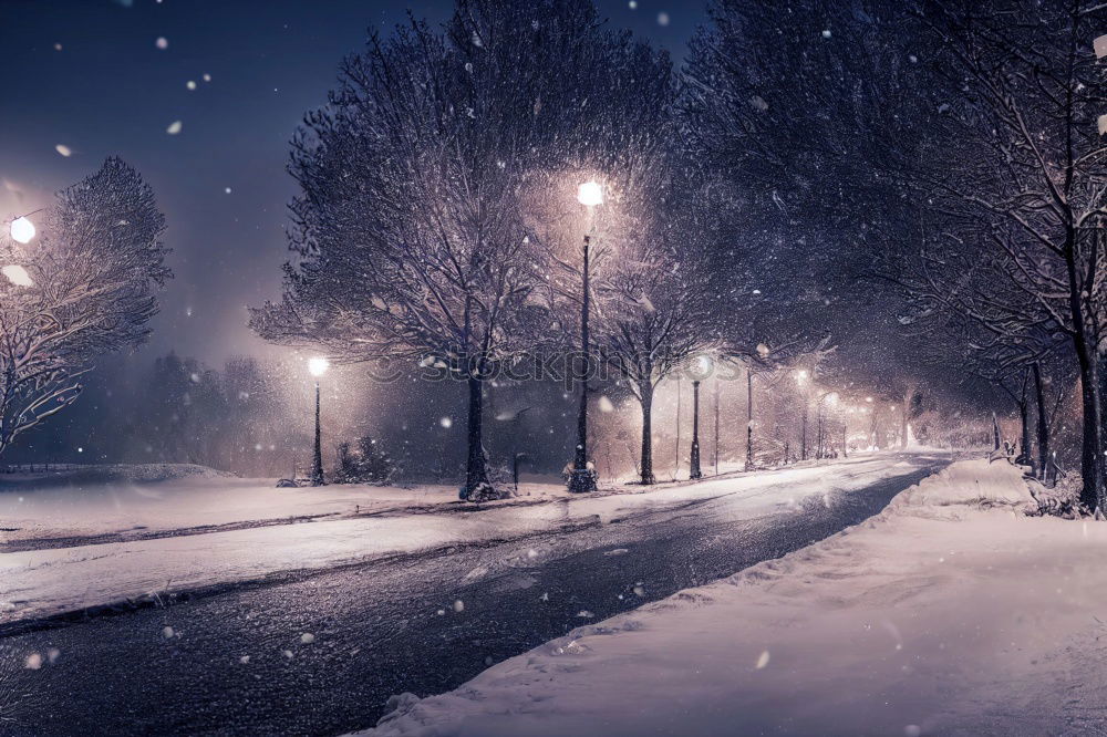 Similar – Image, Stock Photo Heavy snowfall on Christmas and the people on the streets