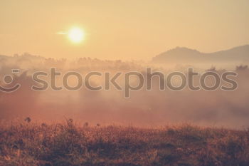 Similar – Tower of rural church in misty autumn colorful morning