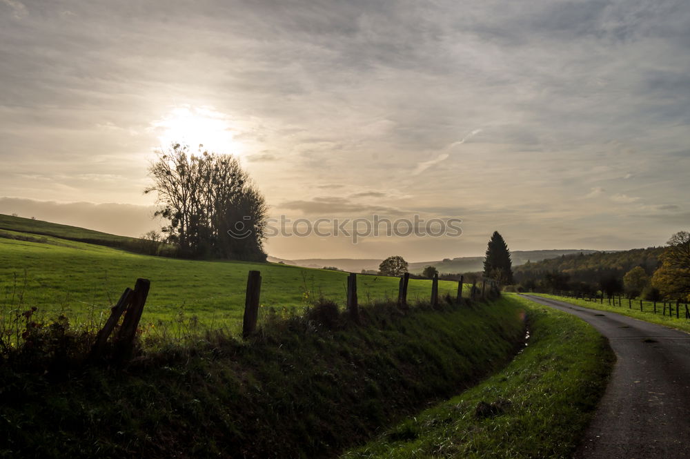 Similar – Image, Stock Photo Rapsfeld in the evening sun