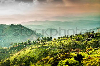 Similar – Image, Stock Photo Tea plantations of Kandy