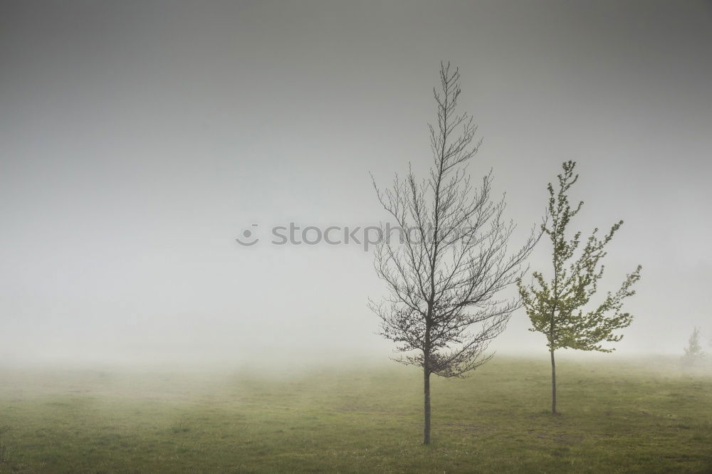 Similar – Image, Stock Photo ParkBank Nature Landscape